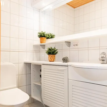 Winter Lake145 Ferienhaus Kuusamo